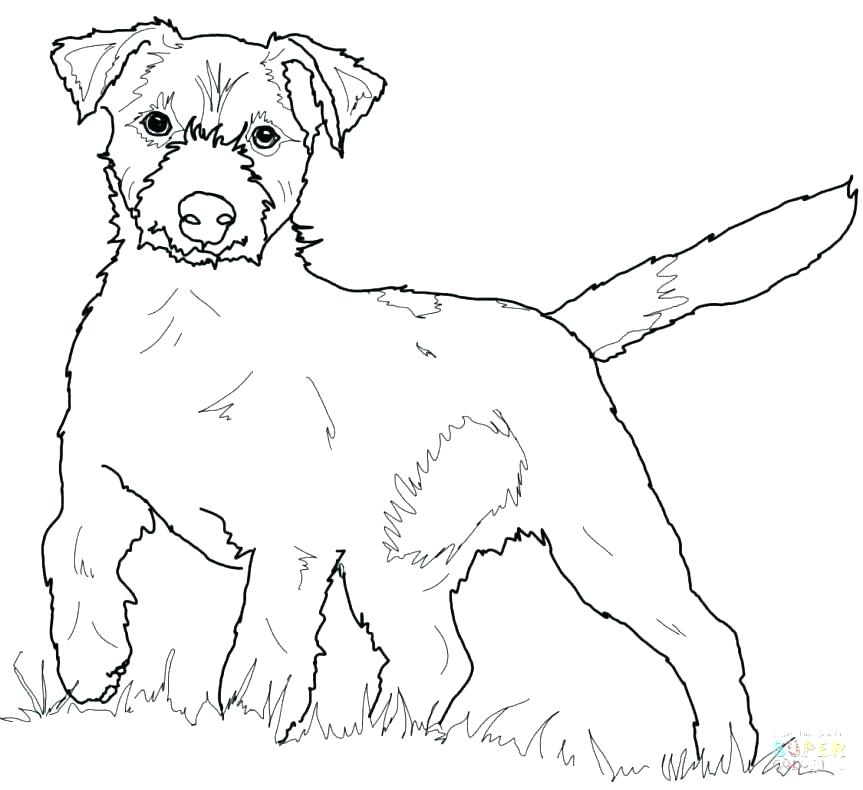 863x790 Dachshund Coloring Page Best Dachshund Coloring Pages Kids Dog