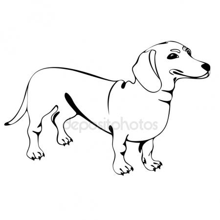 450x450 Dachshund Dog Figure Stock Vector