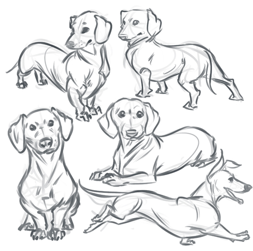 500x496 Imaginary Element August 2013