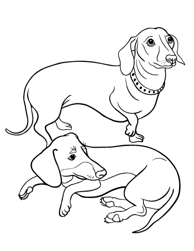 392x507 Printable Dachshund Coloring Page. Free Pdf Download
