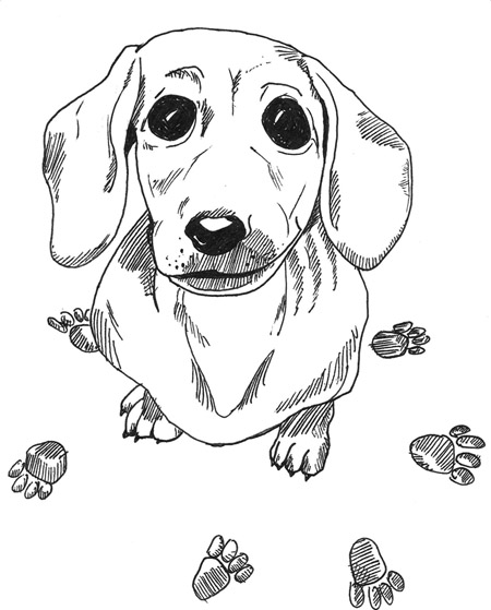 450x559 Dachshund Animal Coloring Pages Dog Coloring Pages