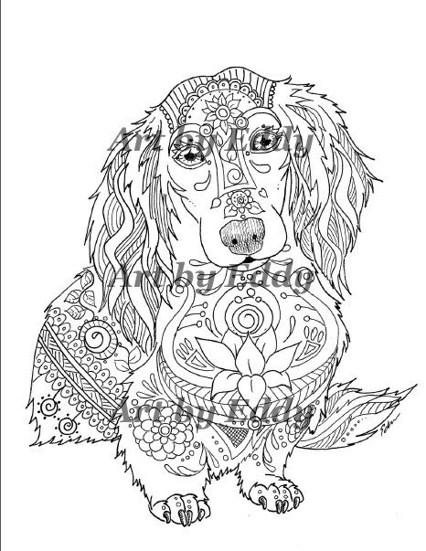 466x603 Custom Item For Kelly Dachshunds, Hand Drawn And Coloring Books