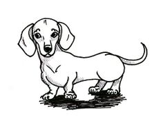 236x182 Dogitude Dachshunds And Dog