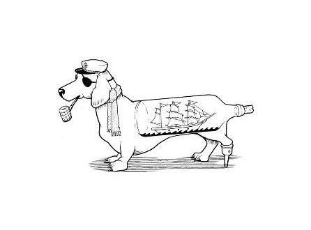 446x330 20 Best Jeremy Fish Images On Dachshund Dog