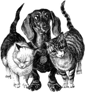 288x313 21 Best Abstract Drawing Images On Abstract Art