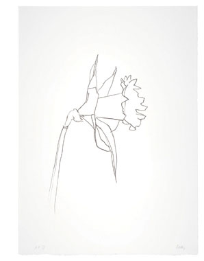 298x380 Ellsworth Kelly