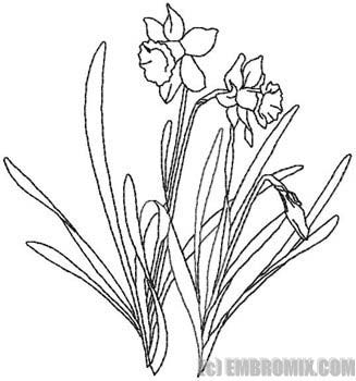 327x350 Flowers And Nature