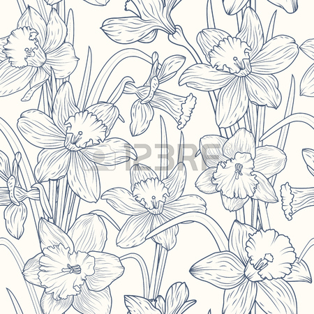 450x450 Daffodils Narcissus Flowers Seamless Pattern. Navy Blue Pen
