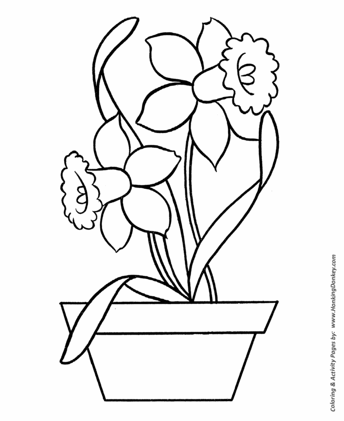 670x820 Easy Coloring Pages Free Printable Daffodils In Pot Easy