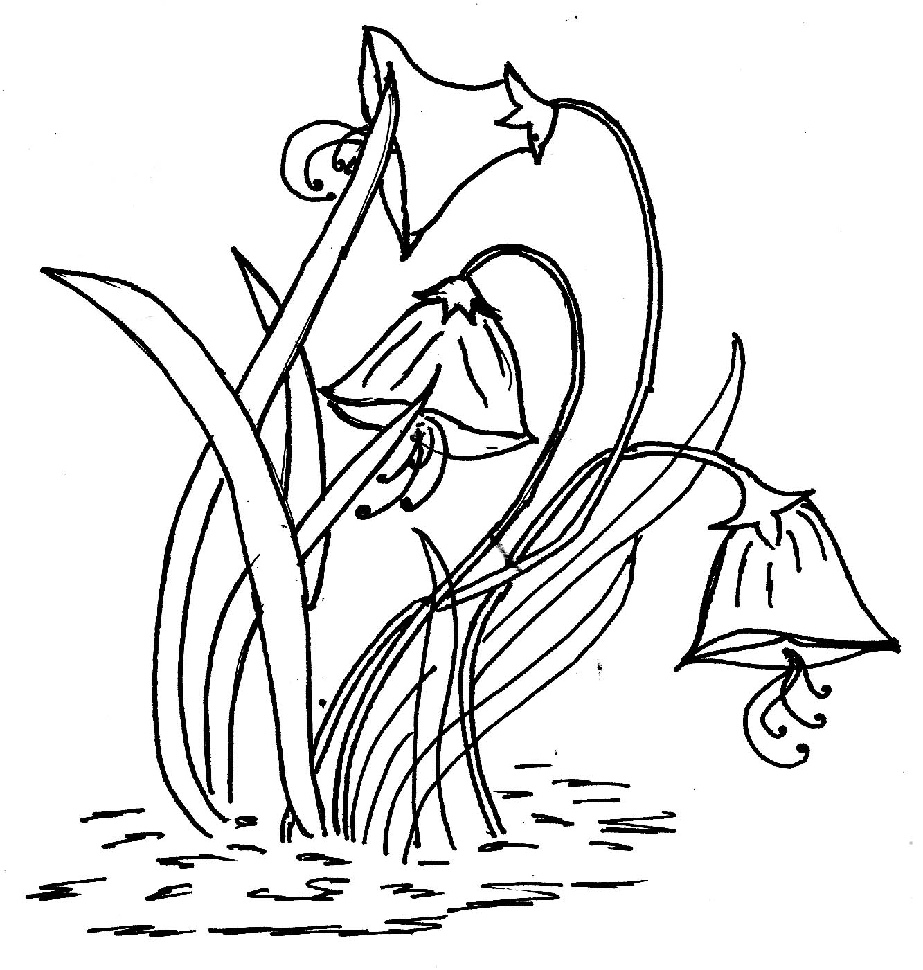 1333x1401 Glass Painting Outline Hd Images Glass Painting Patterns