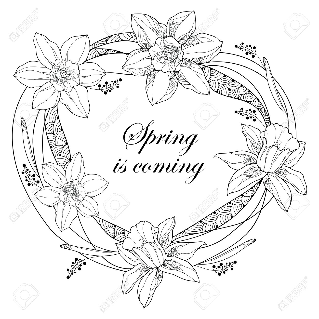 1300x1300 Vector Round Frame With Outline Narcissus Or Daffodil Flowers