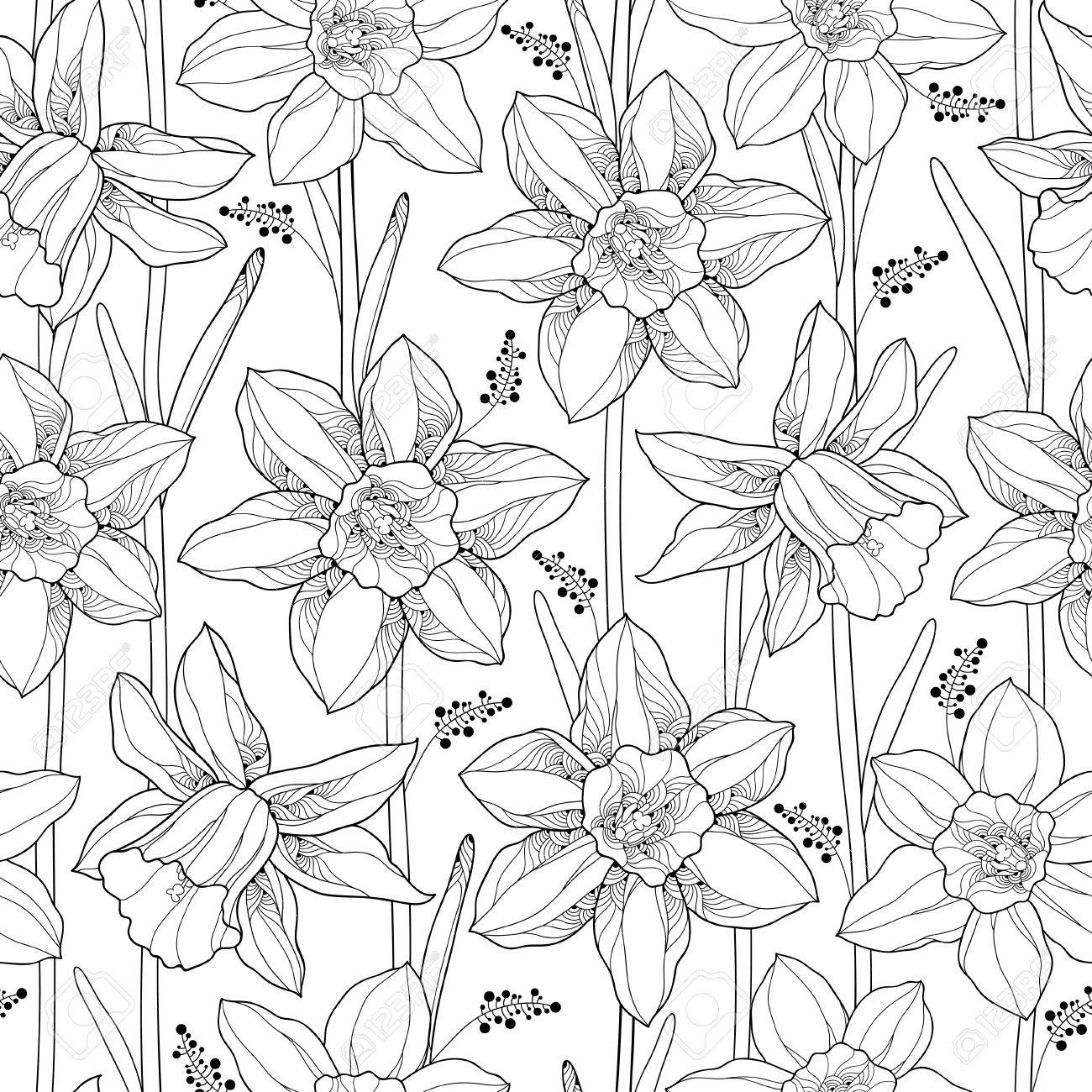 1300x1300 Vector Seamless Pattern With Outline Narcissus Or Daffodil Flower