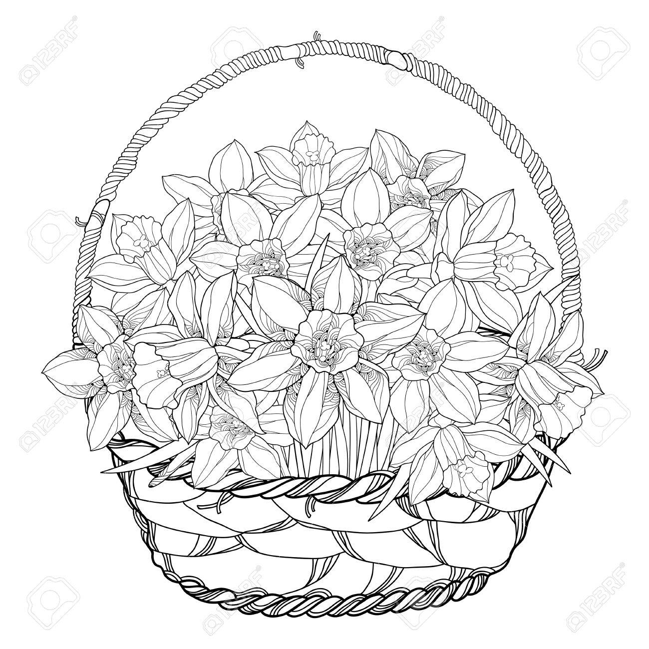 1300x1300 Bouquet With Outline Narcissus Or Daffodil Flowers In The Basket