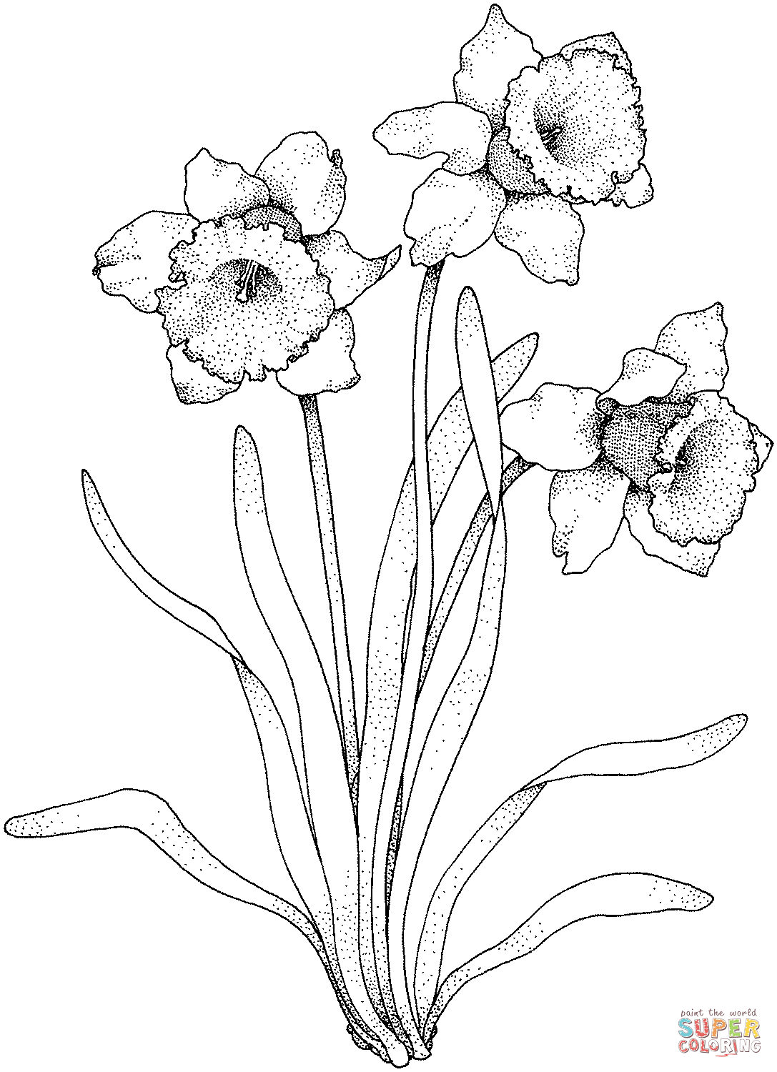 1087x1500 Daffodil Coloring Pages Free Coloring Pages