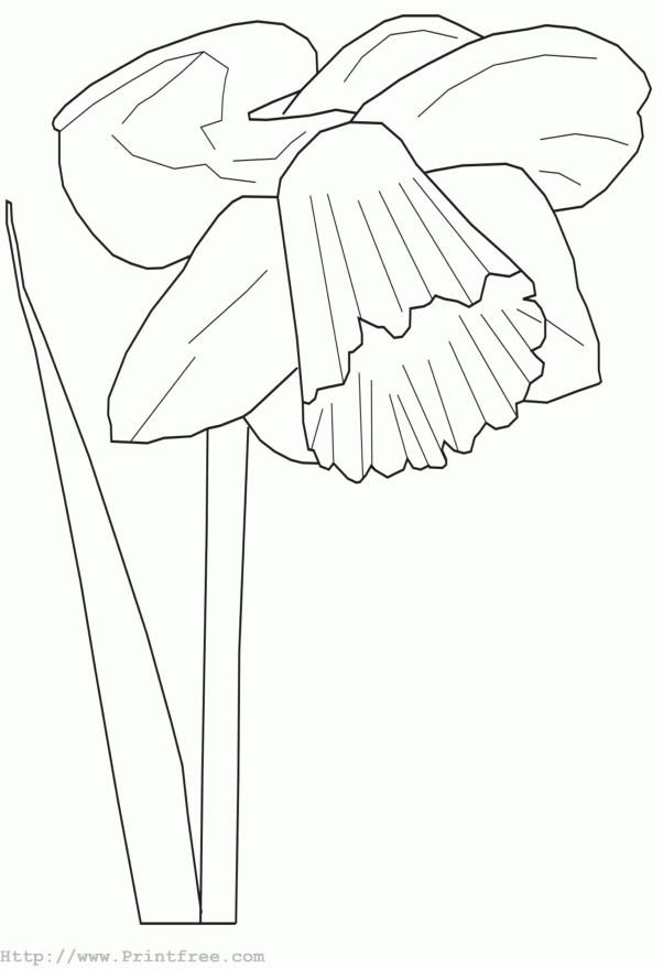 602x880 Inkspired Musings Having A Daffodil Dazy Day!