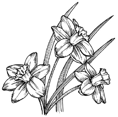 400x397 Flowers Drawings Art Meaning