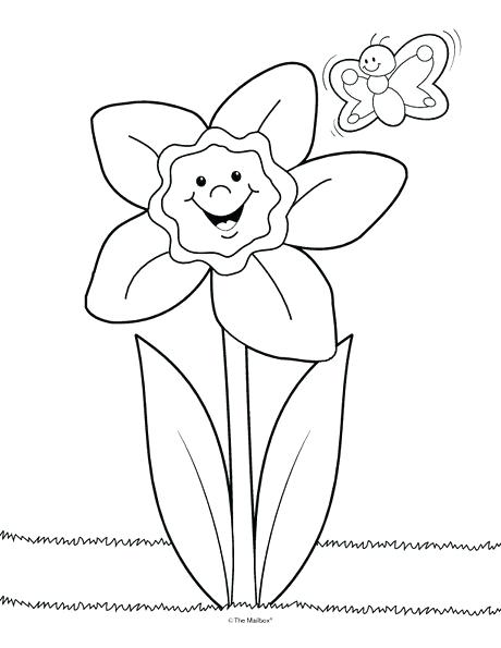 460x595 Coloring Sheets Daffodil