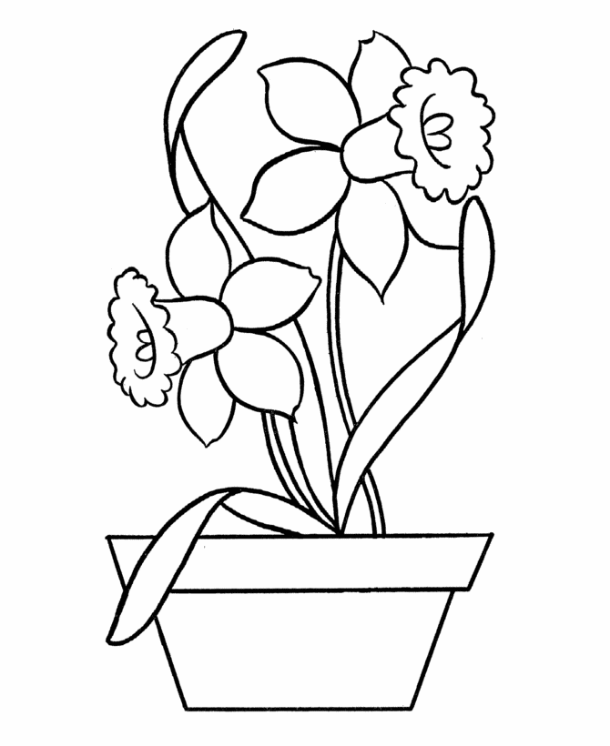 670x820 Daffodil Drawing For Children