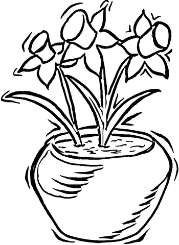 350x480 Daffodils Coloring Page Free Printable Coloring Pages