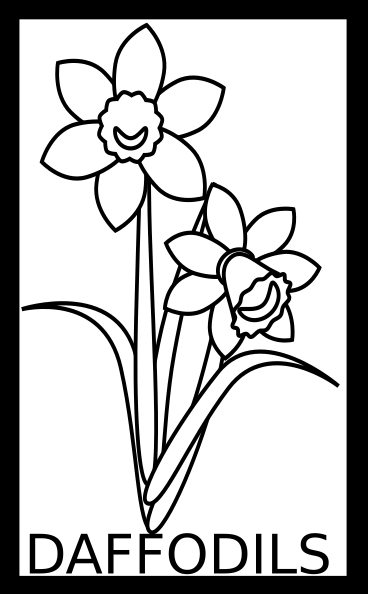 368x594 Daffodils Flower In Mask, Stencil, Line Art And Colour Anino