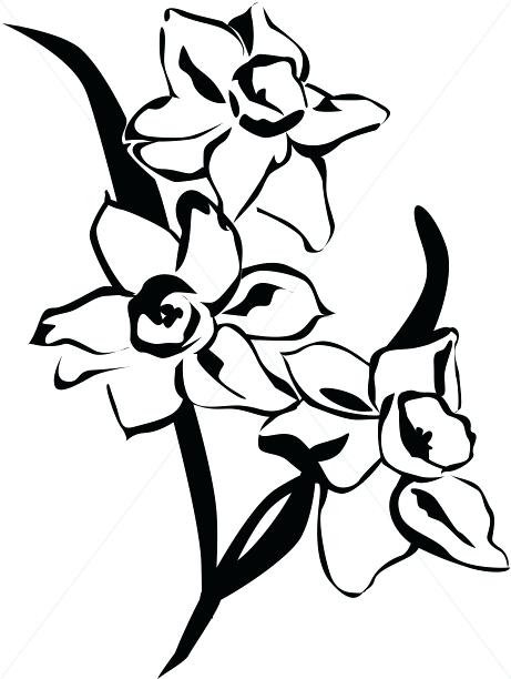 461x612 Flower Clip Art Spring Daffodils Black And White Media