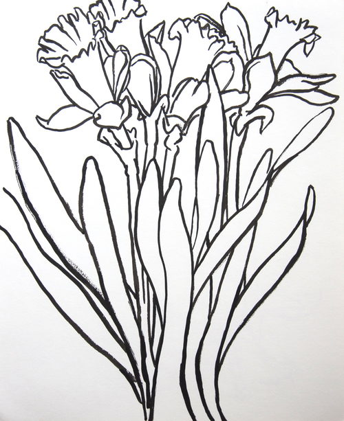 500x613 Ink Still Lifes Megan Williamson