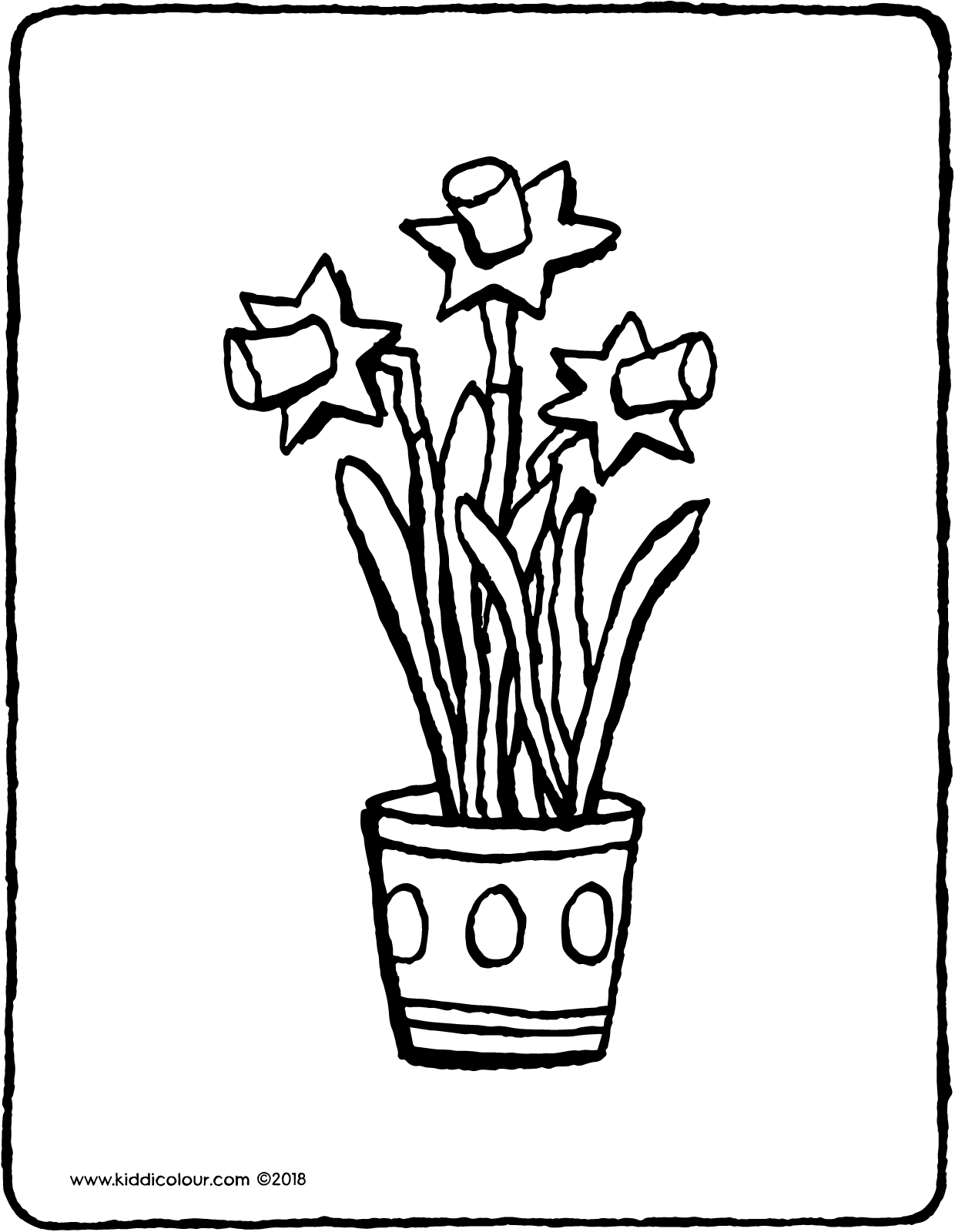 1240x1600 Daffodils In A Flower Pot