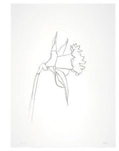 236x300 Ellsworth Kelly