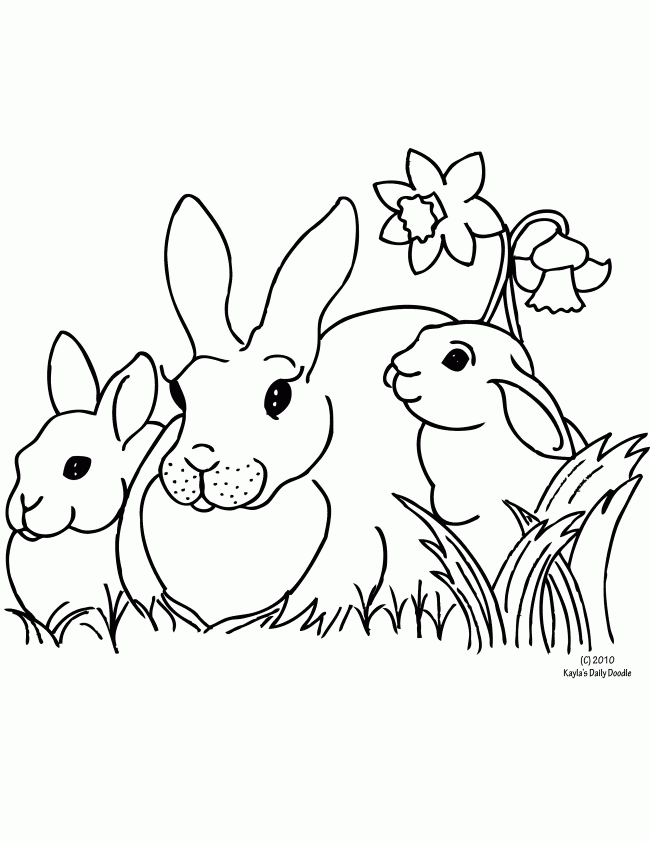 650x841 Free Printable Coloring Page And Clipart Bunnies And Daffodils