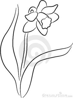 236x318 Image Result For Black Daffodil Sketch Daffodils Amp Feathers
