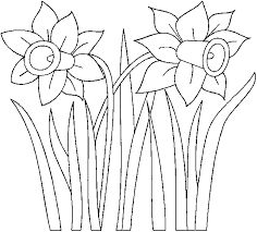 236x213 Image Result For Daffodils Flowers Clipart Black And White