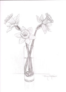 217x300 Daffodil Tattoo