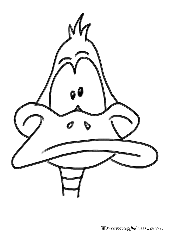 650x900 Print This Page