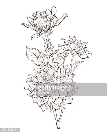 371x464 Dahlia Vintage Hand Drawing Background With Stock Vectors