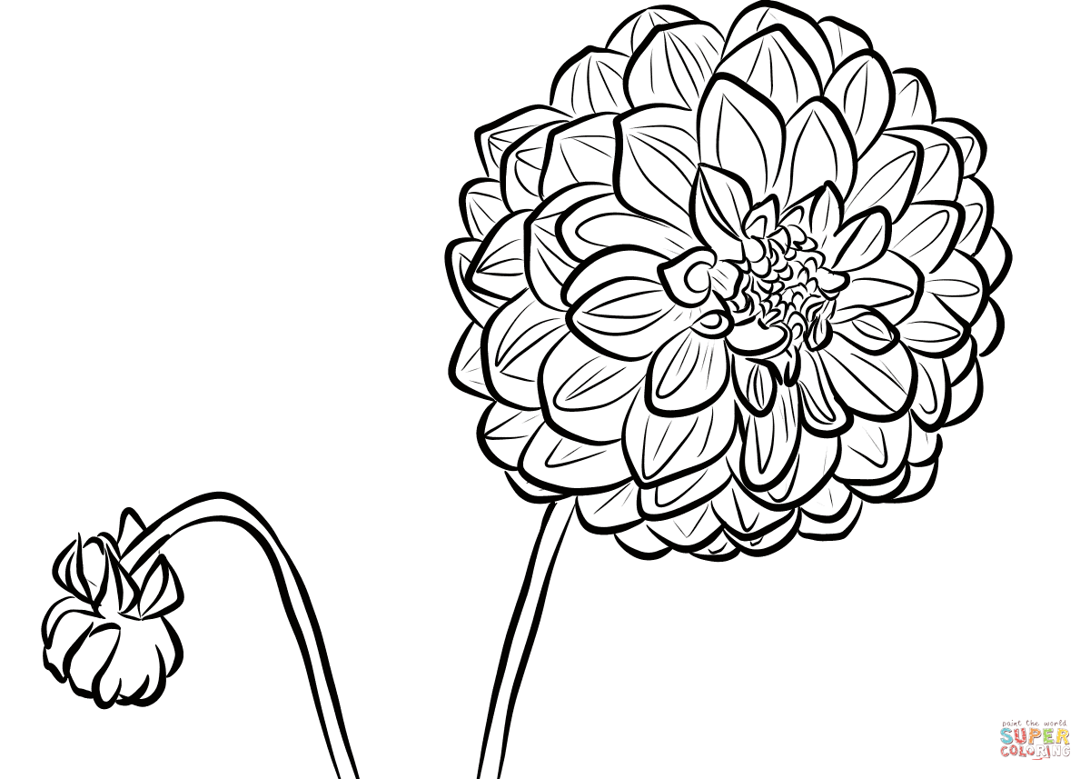 1200x857 Dahlia Coloring Page Free Printable Coloring Pages
