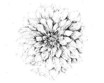 340x270 Dahlia Drawing Etsy
