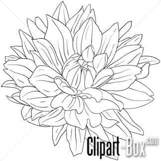 324x324 Clipart Dahlia Flower Sketch Style Printables