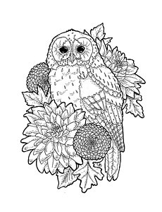 230x300 Dahlia Flower Drawings Fine Art America