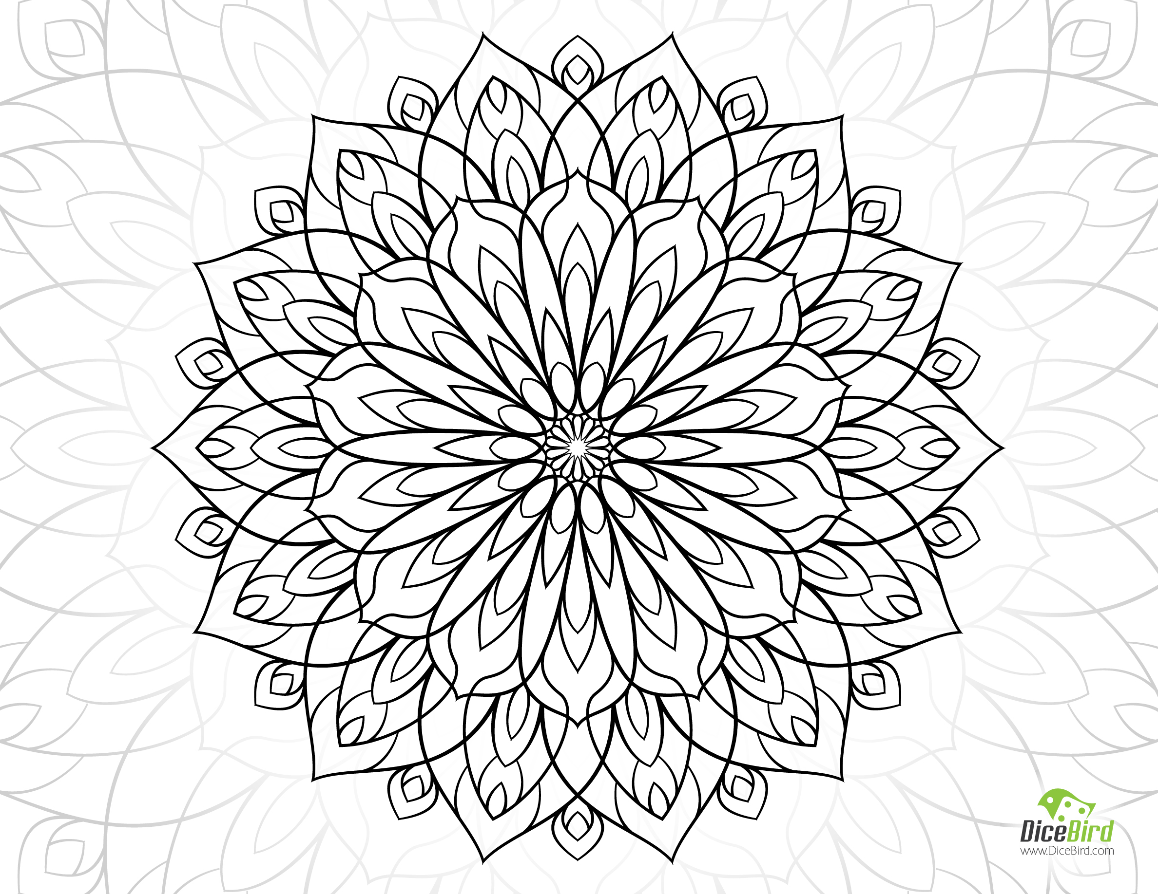 2376x1836 Flower Adult Coloring Pages Preschool To Cure Draw Image