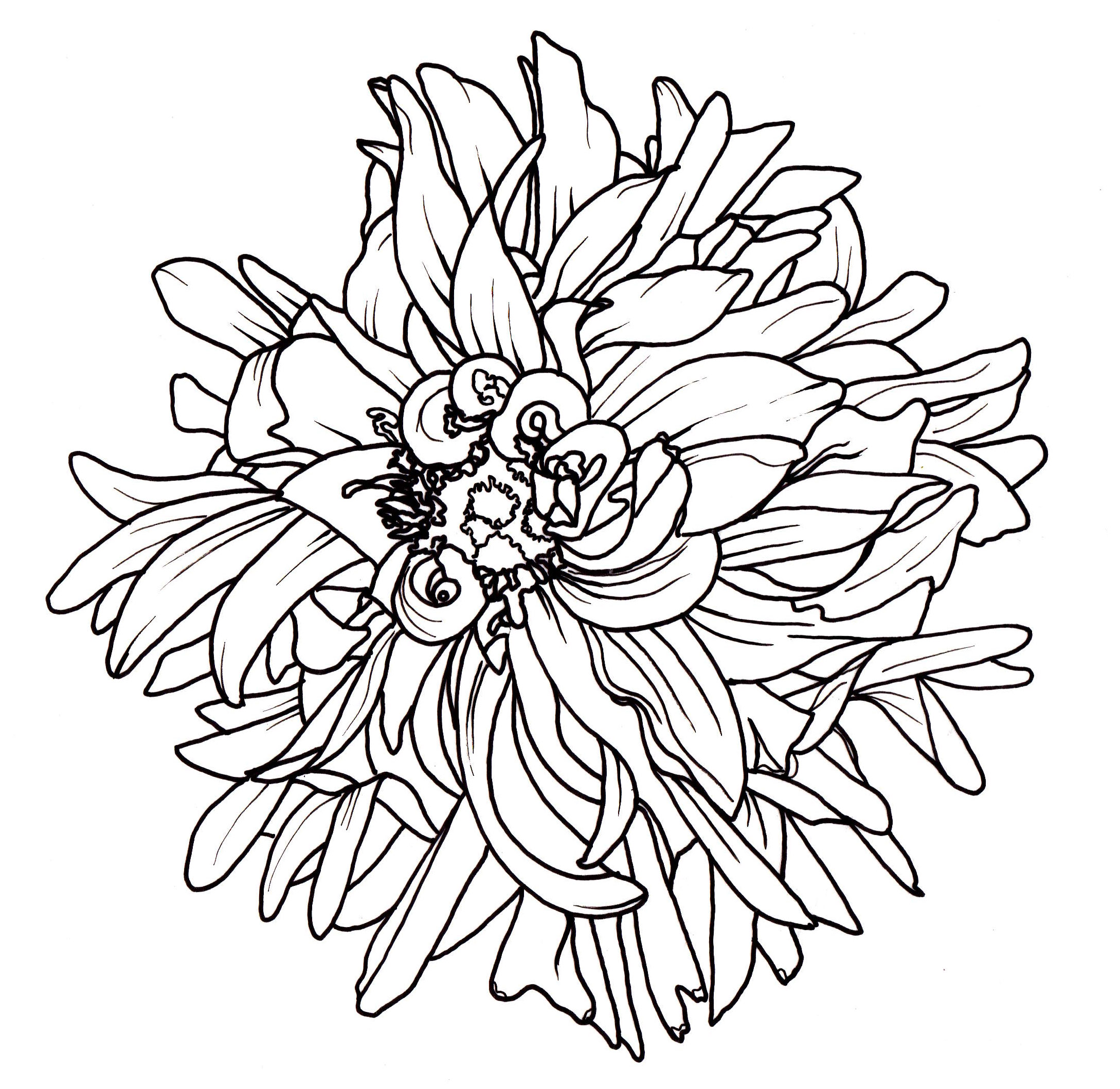 2178x2118 Line Drawing