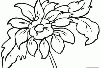 400x270 Flower Coloring Page Archives