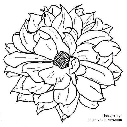 500x500 Dahlia Flower Line Art Templates Dahlia Flower