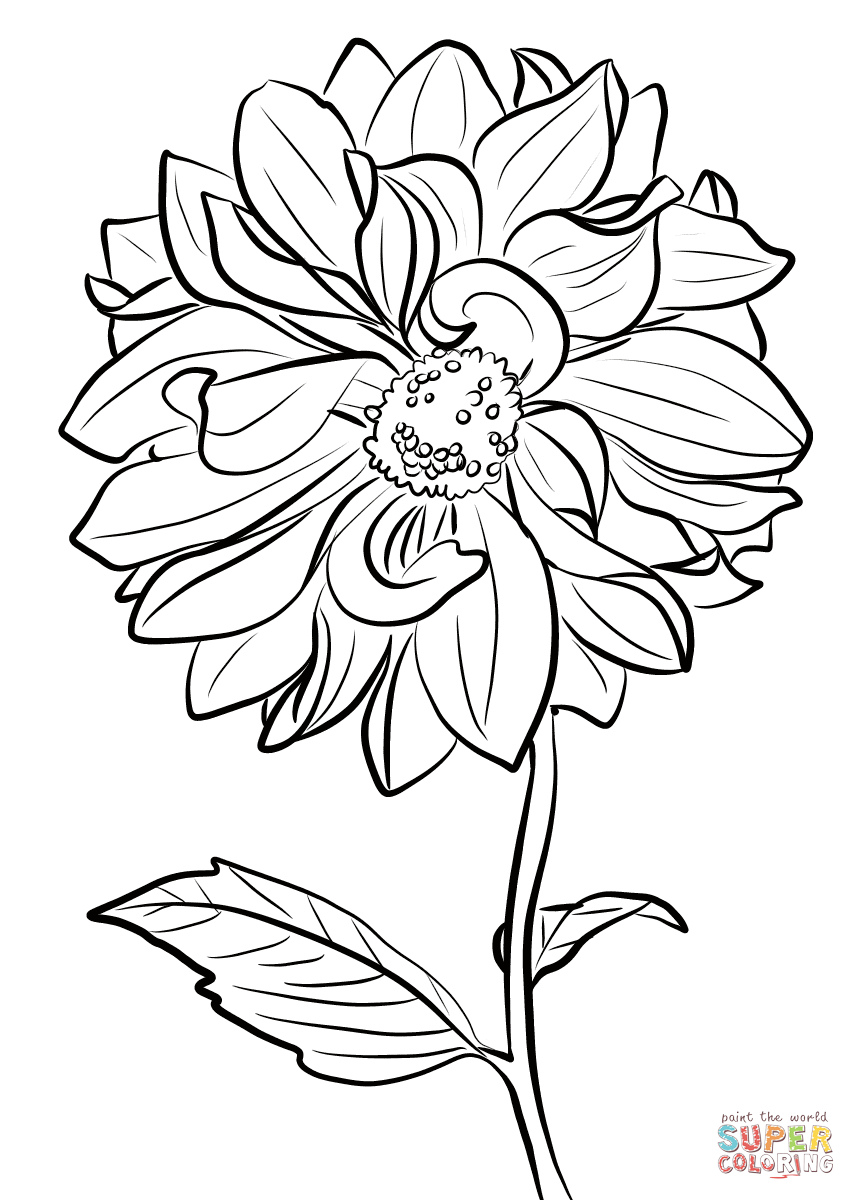 856x1200 Dahlia
