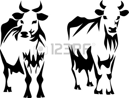 450x343 Dairy Cows Royalty Free Cliparts, Vectors, And Stock Illustration