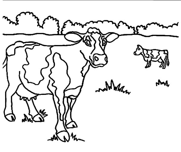 600x503 Drawing Dairy Cow Coloring Pages