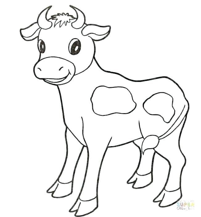 652x704 Coloring Pictures Of Cows Cow Coloring Page Coloring Pages Cows