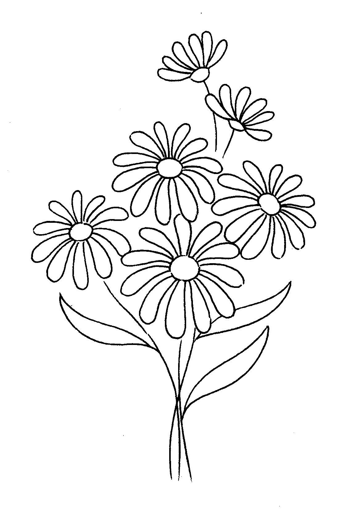 1113x1708 Drawing Of A Daisy Daisy Flower Drawing