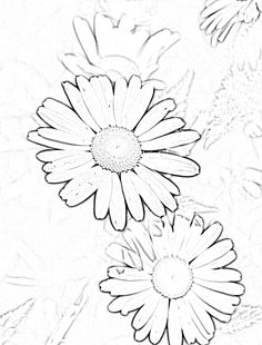 236x310 How To Draw A Daisy Drawing, Sketching How To Dot