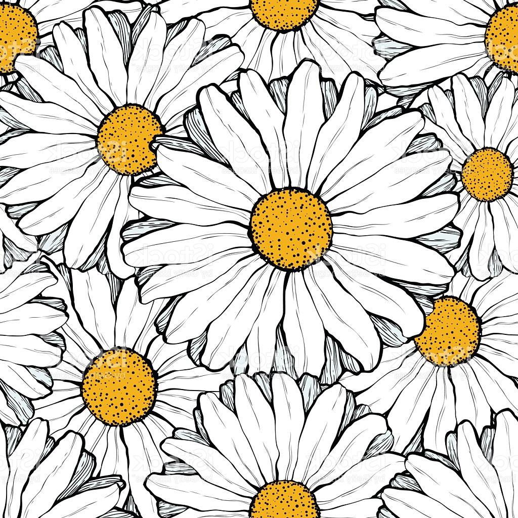 1024x1024 Best Hd Daisy Graphic Vector Design