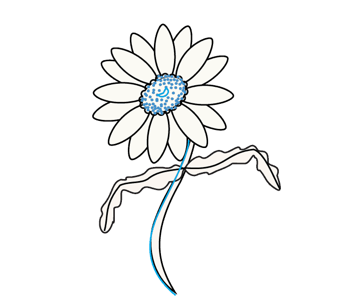 678x600 How To Draw A Daisy Easy Drawing Guides